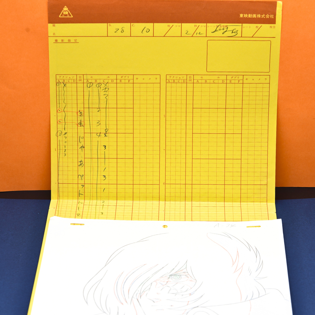 Own a rare Captain Harlock original production anime cel with matching douga and hand-painted background. Includes the studio envelope. Perfect for anime collectors!