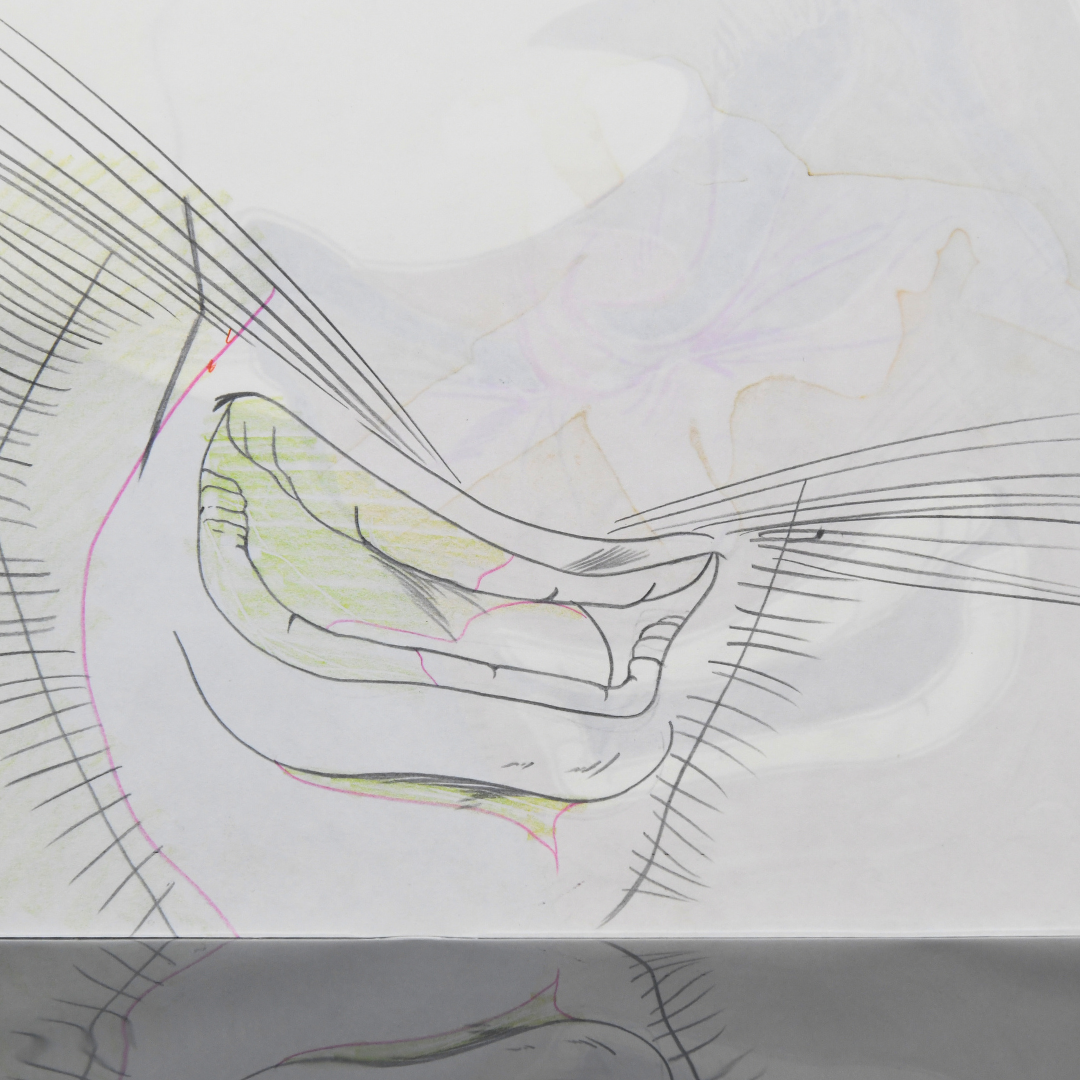 Sakigake!! Otokojuku – Oni-Hige Close-Up in Pain – original animation production artwork – detail 4