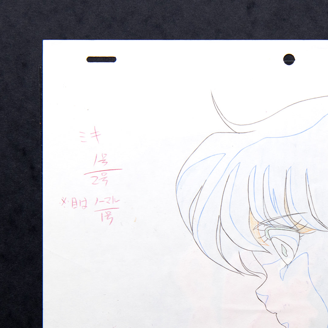 Lemon Angel – Fuyumi Sakakibara Profile – original animation production artwork – detail 6