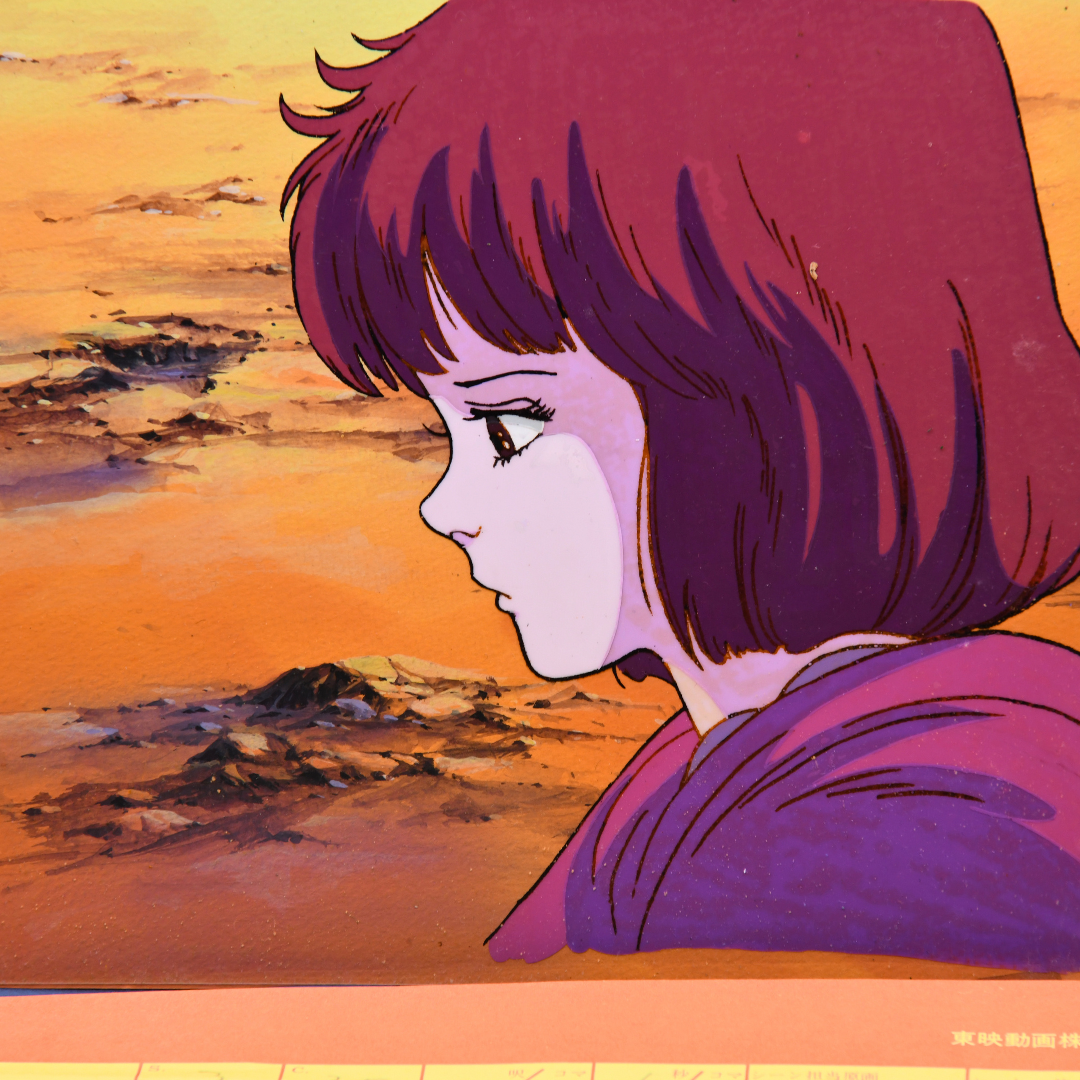 Fist of the North Star (Hokuto no Ken) – Lin Profile – original animation production artwork