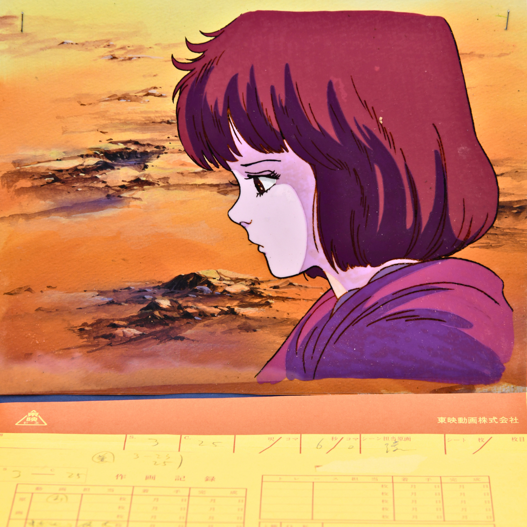 Fist of the North Star (Hokuto no Ken) – Lin Profile – original animation production artwork – detail 5