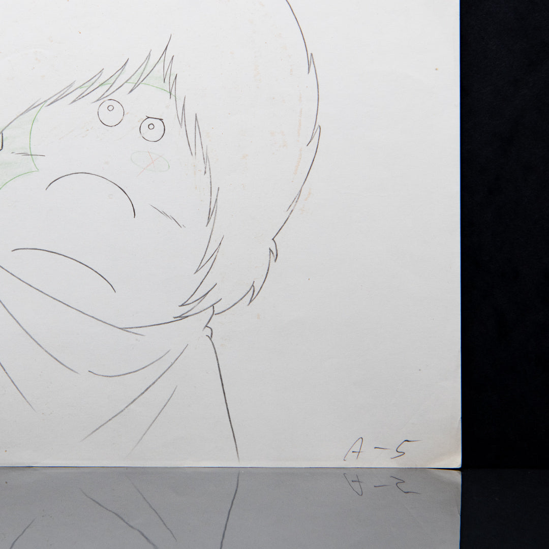 Galaxy 999 - Tetsuro Portrait- Original Production Douga Anime