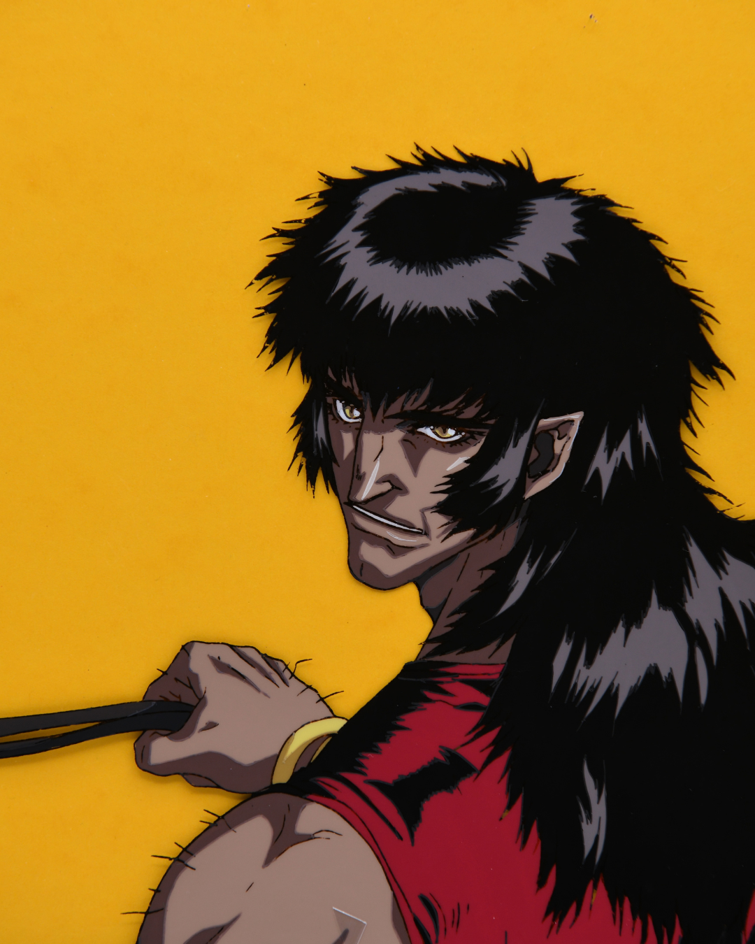 Vampire Hunter D Bloodlust Mashira original production cel close-up, Madhouse